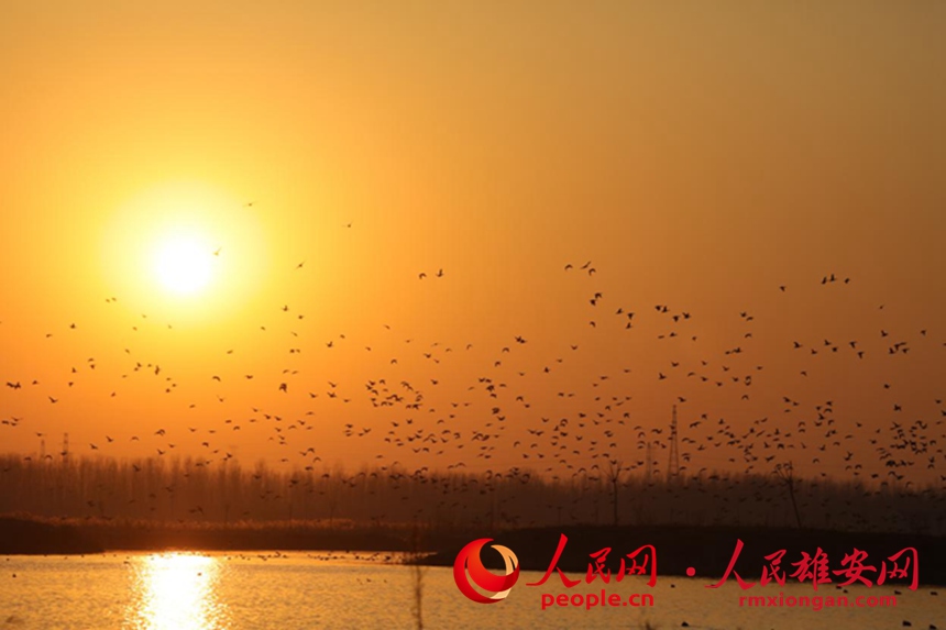 d03d7b7a22c69a478fbae527a85ec6f4_LOCAL202202122111000311339378075.jpg d03d7b7a22c69a478fbae527a85ec6f4_LOCAL202202122111000311339378075.jpg