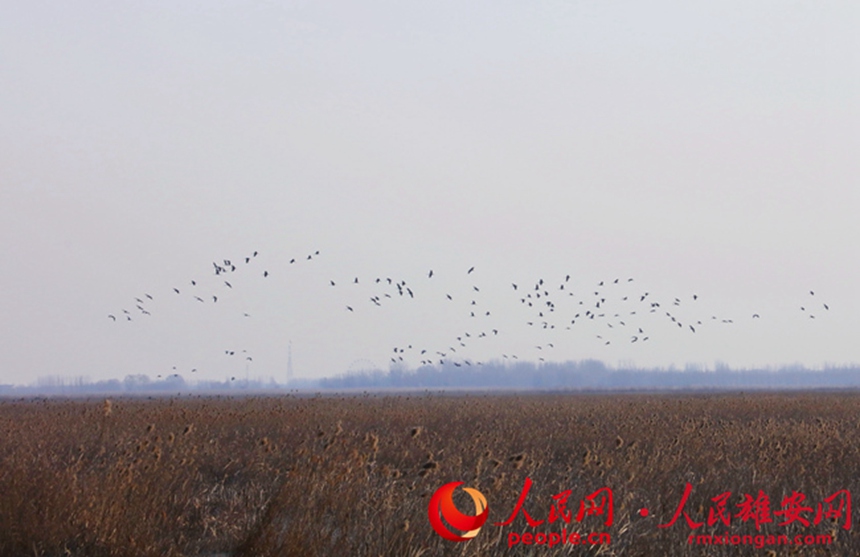 757668fb29af02e00b22f8736afd6ac6_LOCAL202202122111000340326686832.jpg 757668fb29af02e00b22f8736afd6ac6_LOCAL202202122111000340326686832.jpg