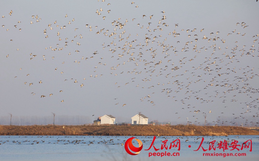 754b22dd22e93fa928e40f84d3b9e5e4_LOCAL202202122111000309514832714.jpg 754b22dd22e93fa928e40f84d3b9e5e4_LOCAL202202122111000309514832714.jpg