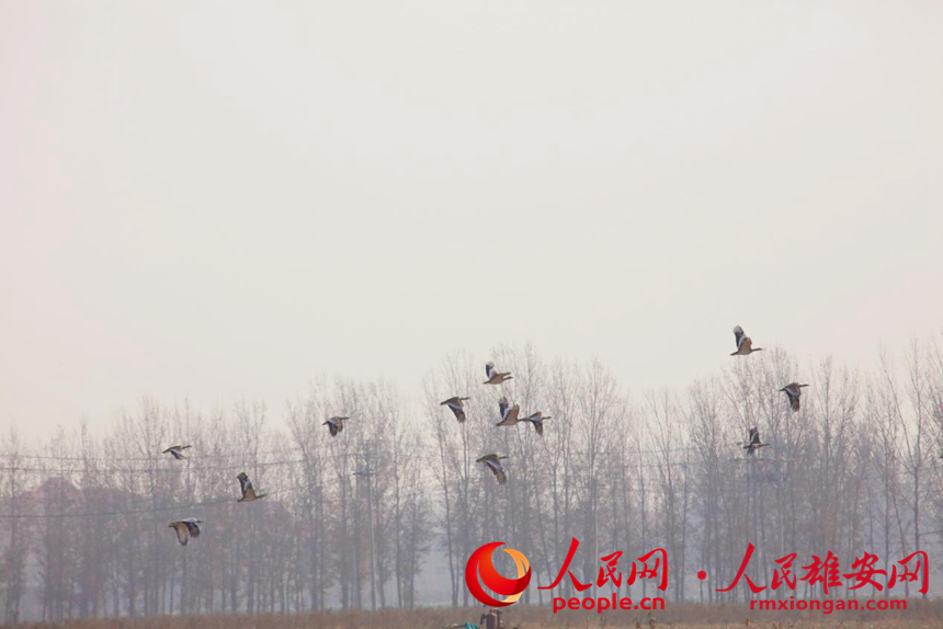 b4f926bcb09f596338f99e53ad1b1056_LOCAL202202122111000366650288474.jpg b4f926bcb09f596338f99e53ad1b1056_LOCAL202202122111000366650288474.jpg