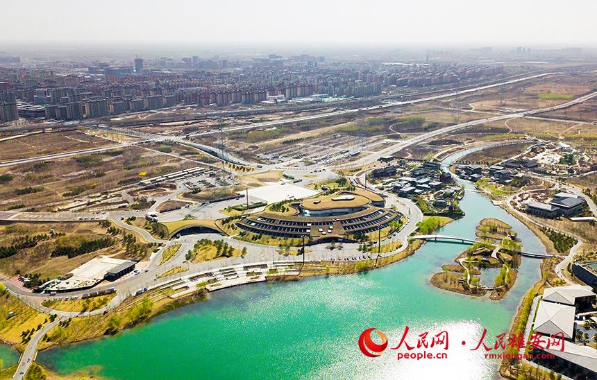 航拍雄安郊野公園。人民網(wǎng)宋燁文攝