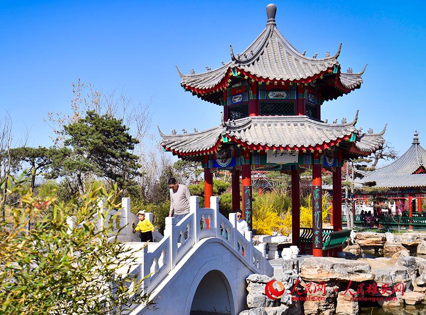 春天的雄安郊野公園，春和景明。人民網(wǎng)宋燁文攝