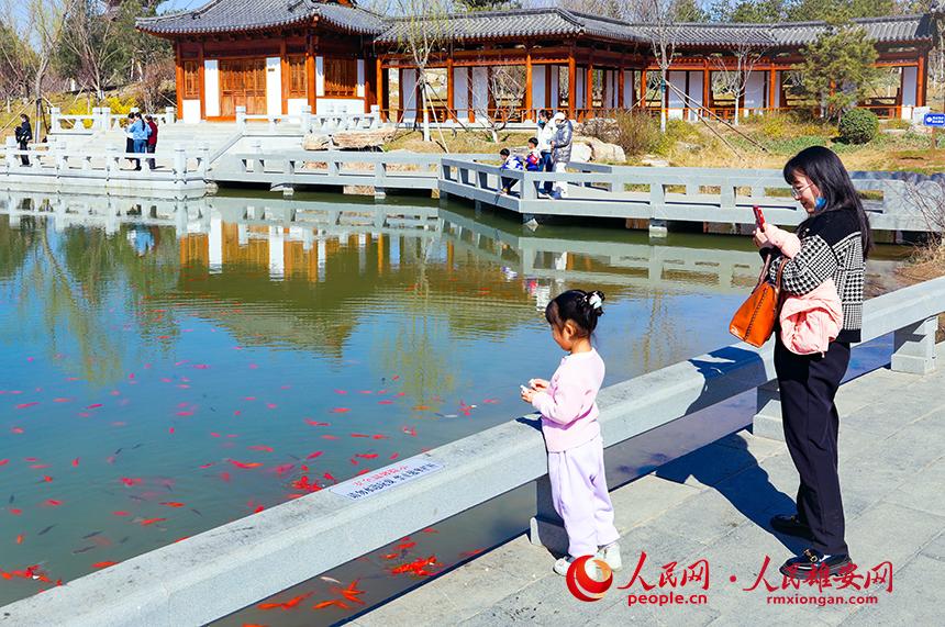 雄安悅?cè)莨珗@一角，不少家長帶著孩子前來游玩。人民網(wǎng)宋燁文攝