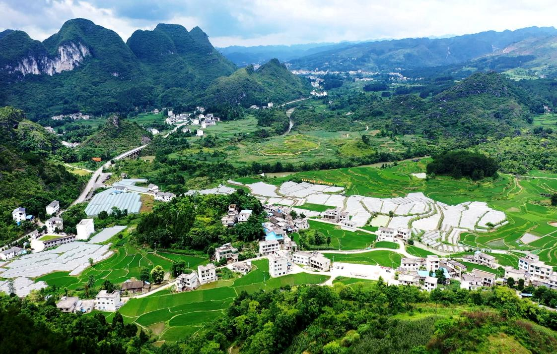 雙河村全景圖.png 雙河村全景圖.png