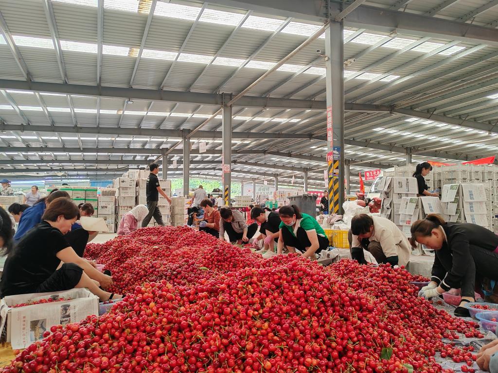 1b15f51f7c1beca01a37ef93899665f7_202306078651428daf2d4b6c8c9beeaee02fe6b6_e67ee850-5bbe-47a7-ad33-fcffeb369305.jpg 1b15f51f7c1beca01a37ef93899665f7_202306078651428daf2d4b6c8c9beeaee02fe6b6_e67ee850-5bbe-47a7-ad33-fcffeb369305.jpg