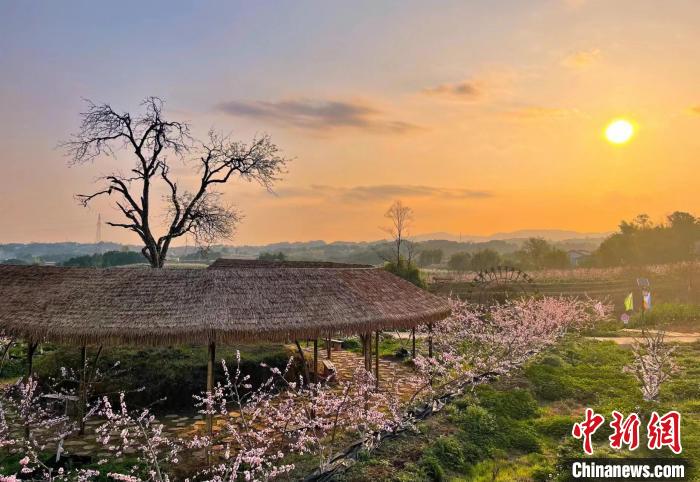 253b734607ccde4ccda1e2d15507ac3f_2e43c039-fdf7-4b22-a607-8a11a0f06e68_zsite.jpg 253b734607ccde4ccda1e2d15507ac3f_2e43c039-fdf7-4b22-a607-8a11a0f06e68_zsite.jpg