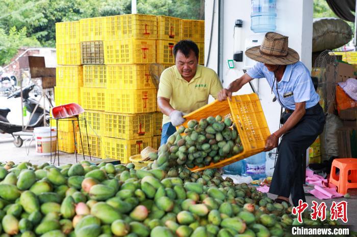 920e7a98114525b1e4838529b8c5b225_4f7957ff-7246-44a5-bb7f-7f95086822e5_zsite.jpg 920e7a98114525b1e4838529b8c5b225_4f7957ff-7246-44a5-bb7f-7f95086822e5_zsite.jpg