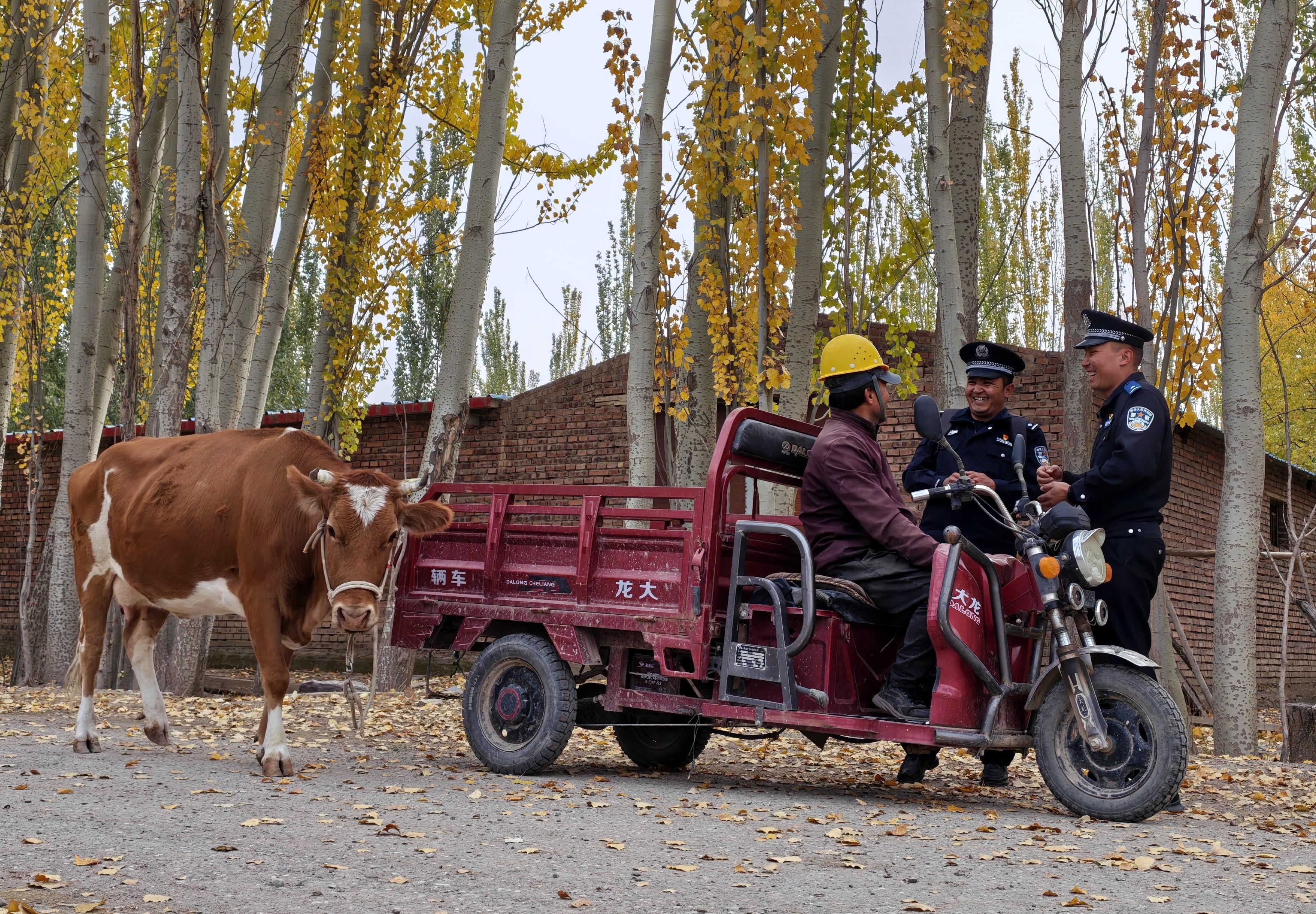 新疆烏恰公安：田間地頭解民憂  筑牢鄉(xiāng)村“安全盾”