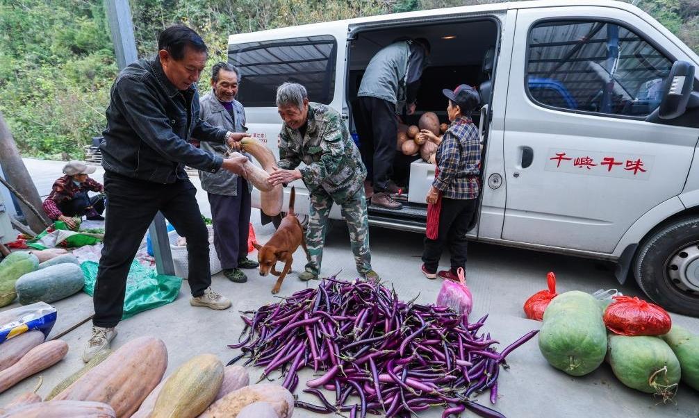 公益收菜計(jì)劃溫暖山村留守老人